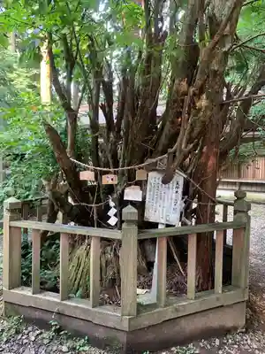 幣立神宮(熊本県)