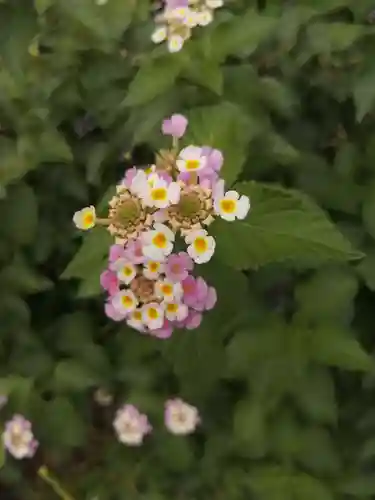 源九郎稲荷神社(奈良県)