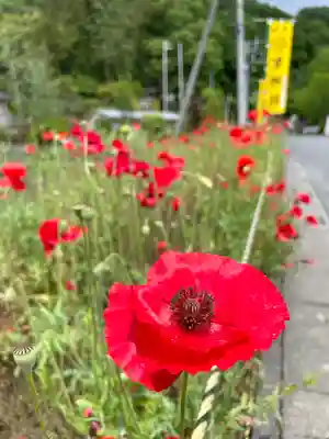 聖神社(埼玉県)