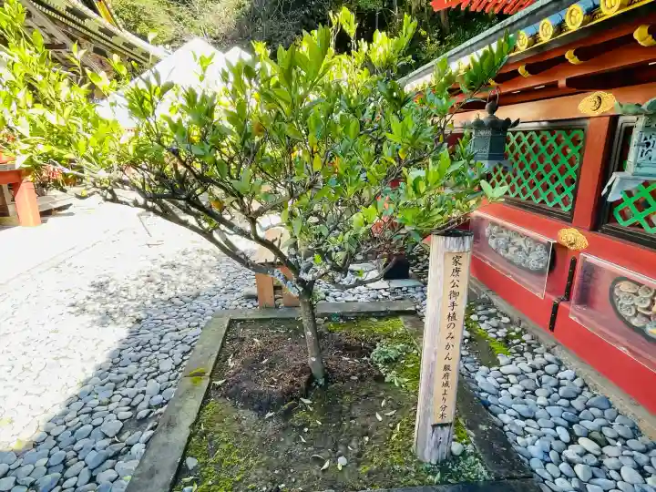 久能山東照宮(静岡県)