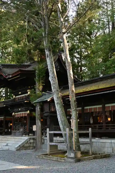 諏訪大社下社秋宮(長野県)