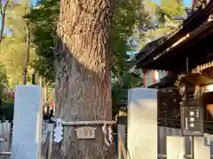 田無神社(東京都)