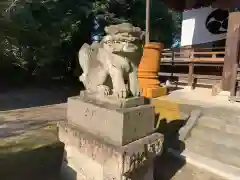 星宮神社の狛犬