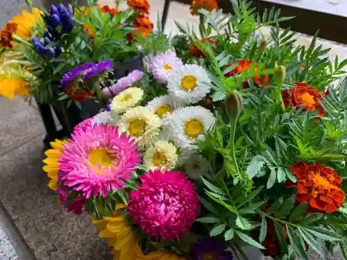 滑川神社 - 仕事と子どもの守り神の手水舎