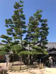 大願寺(広島県)