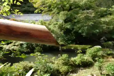 実相院門跡の手水舎