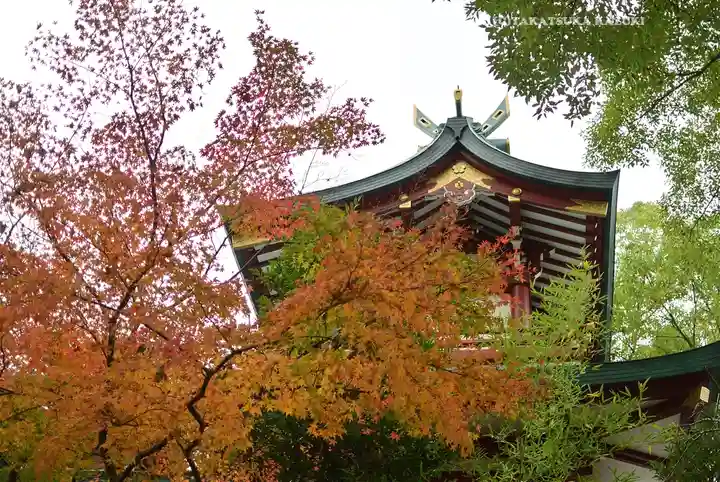 多摩川浅間神社(東京都)
