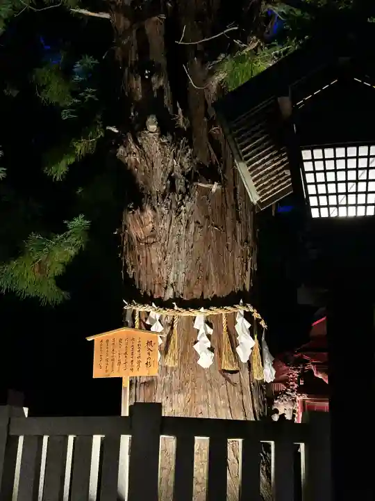 諏訪大社下社秋宮(長野県)