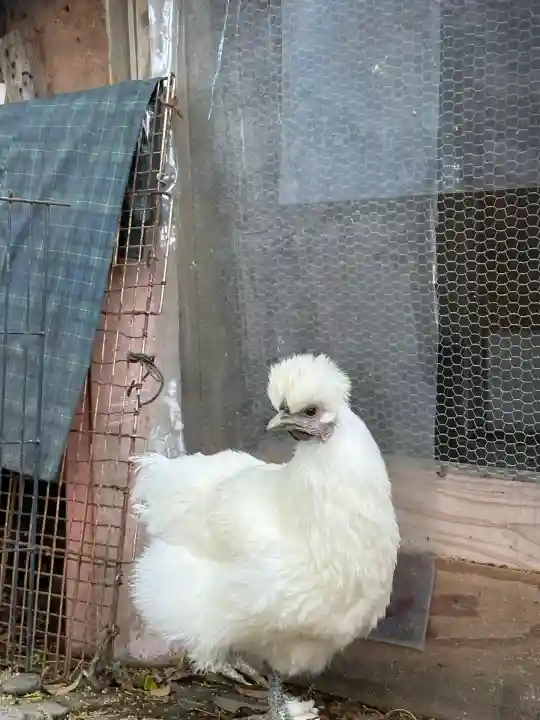 豊功神社(山口県)