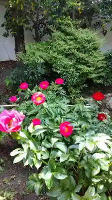 石光寺(奈良県)