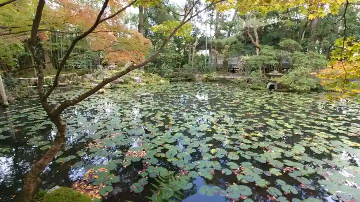 南禅寺の{uncategorized: "未分類", other: "その他", undefined: "問題あり", building: "その他建物", grave: "お墓", sacred_gate: "鳥居", guardian: "狛犬", statue: "像", buddha: "仏像", history: "歴史", nature: "自然", garden: "庭園", animal: "動物", pagoda: "塔", temizu: "手水舎", mountain_gate: "山門・神門", sanctuary: "本殿・本堂", subordinate: "末社・摂社", art: "芸術", scenery: "景色", jizo: "地蔵", ema: "絵馬", goshuin: "御朱印", omikuji: "おみくじ", items: "授与品その他", amulet: "お守り", goshuincho: "御朱印帳", eats: "食事", festival: "お祭り", votive_dance: "神楽", shichigosan: "七五三参", wedding: "結婚式", experience: "体験その他", initially: "初詣", around: "周辺", anti_infection: "感染症対策"}