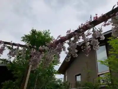 川越氷川神社の{uncategorized: "未分類", other: "その他", undefined: "問題あり", building: "その他建物", grave: "お墓", sacred_gate: "鳥居", guardian: "狛犬", statue: "像", buddha: "仏像", history: "歴史", nature: "自然", garden: "庭園", animal: "動物", pagoda: "塔", temizu: "手水舎", mountain_gate: "山門・神門", sanctuary: "本殿・本堂", subordinate: "末社・摂社", art: "芸術", scenery: "景色", jizo: "地蔵", ema: "絵馬", goshuin: "御朱印", omikuji: "おみくじ", items: "授与品その他", amulet: "お守り", goshuincho: "御朱印帳", eats: "食事", festival: "お祭り", votive_dance: "神楽", shichigosan: "七五三参", wedding: "結婚式", experience: "体験その他", initially: "初詣", around: "周辺", anti_infection: "感染症対策"}