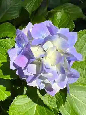 埼玉縣護國神社(埼玉県)