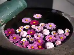 今市報徳二宮神社の手水