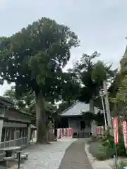 岩屋観音の建物その他