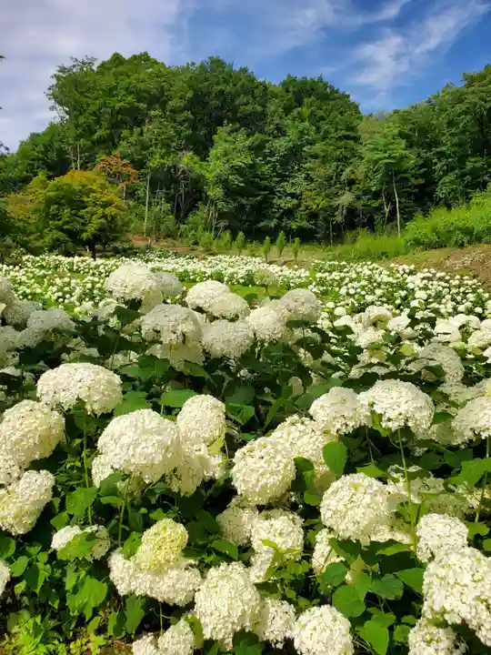 陽林寺(福島県)