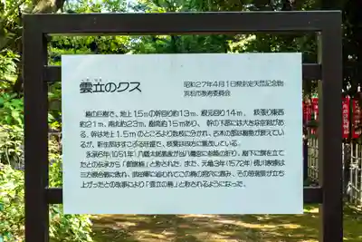 浜松八幡宮(静岡県)