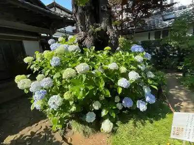 妙楽寺(神奈川県)