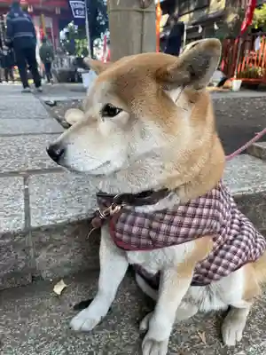笠䅣稲荷神社(神奈川県)