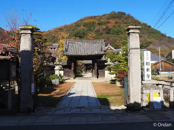 如来寺(兵庫県)