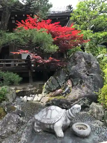 松尾大社(京都府)