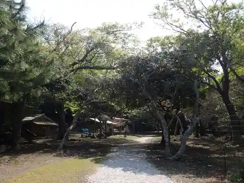 海神神社の自然