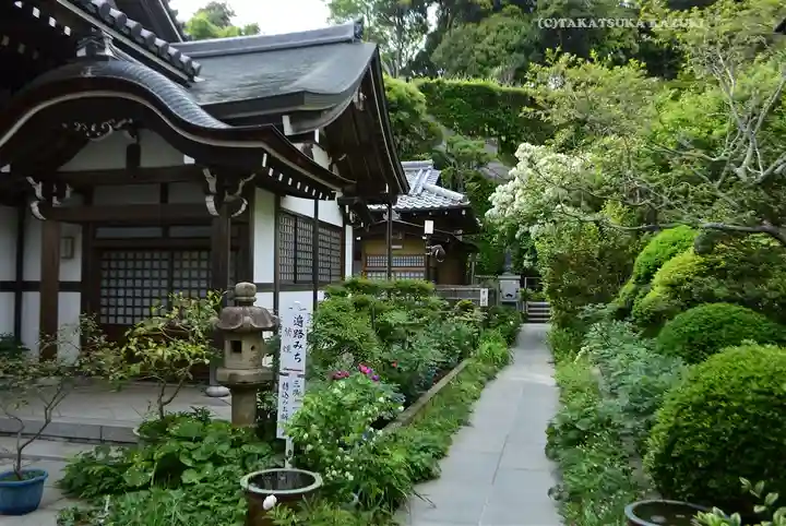円覚寺(神奈川県)