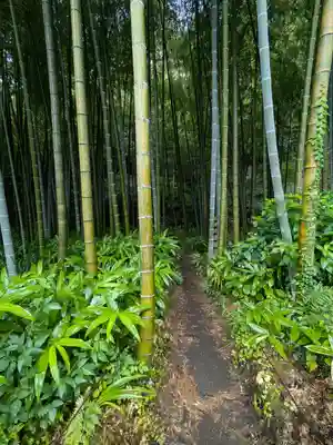 英勝寺(神奈川県)