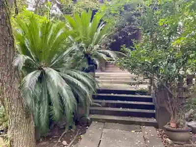 竜谷寺(東京都)