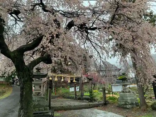 山家神社の自然