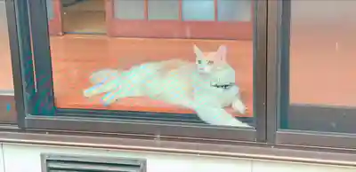 刈田嶺神社(宮城県)