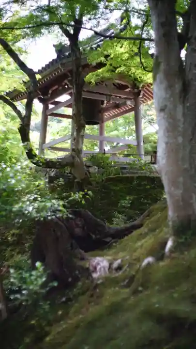 常寂光寺(京都府)