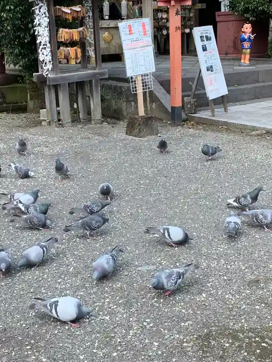 今市報徳二宮神社の動物