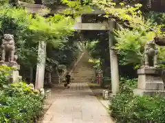 赤坂氷川神社の鳥居