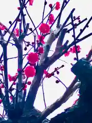 女化神社(茨城県)