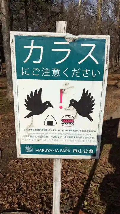 北海道神宮の動物