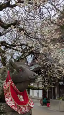 北野天満宮(京都府)