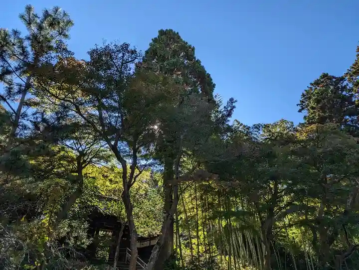 佛日庵(神奈川県)