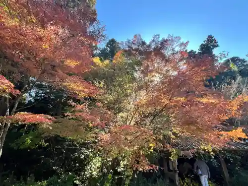 国宝　長寿寺(滋賀県)