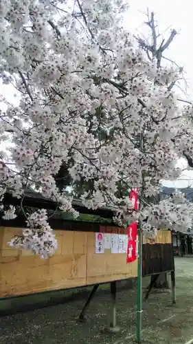 石和八幡宮(官知物部神社)の自然