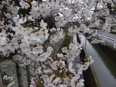 大和神社(新潟県)