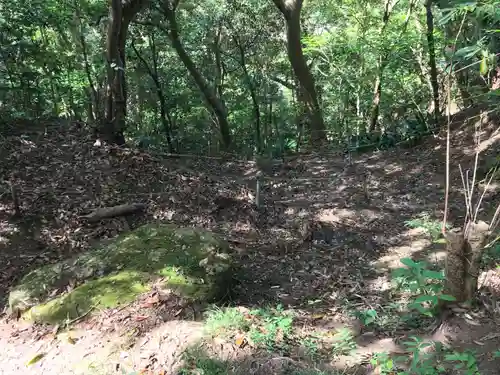 荒磯魚見根神社の自然