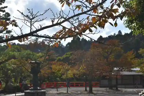 鞍馬寺の景色