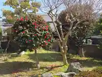 光明寺(大阪府)