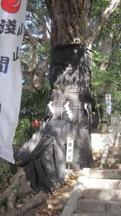 浅間神社(千葉県)