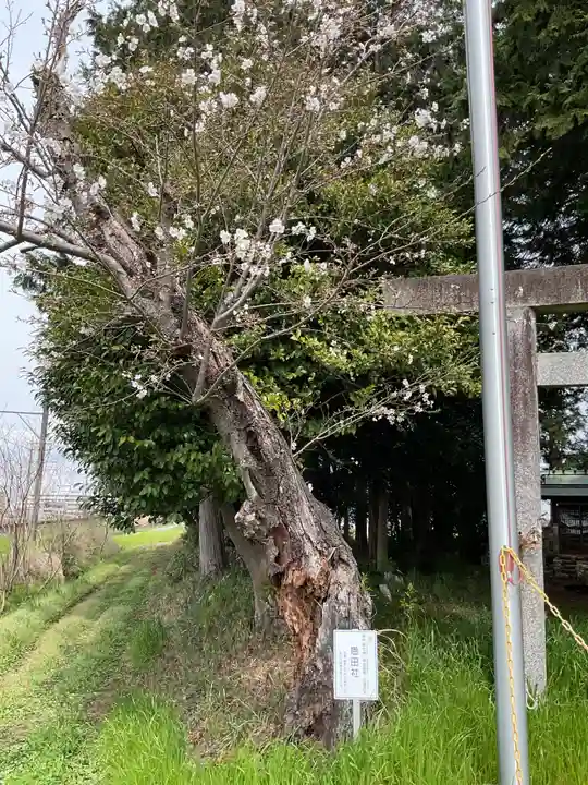 恩田社(愛知県)