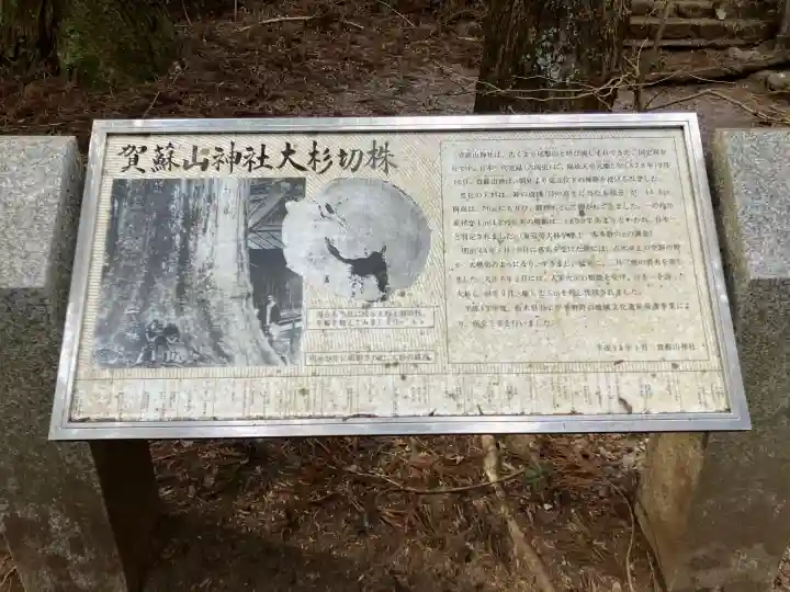 賀蘇山神社の{uncategorized: "未分類", other: "その他", undefined: "問題あり", building: "その他建物", grave: "お墓", sacred_gate: "鳥居", guardian: "狛犬", statue: "像", buddha: "仏像", history: "歴史", nature: "自然", garden: "庭園", animal: "動物", pagoda: "塔", temizu: "手水舎", mountain_gate: "山門・神門", sanctuary: "本殿・本堂", subordinate: "末社・摂社", art: "芸術", scenery: "景色", jizo: "地蔵", ema: "絵馬", goshuin: "御朱印", omikuji: "おみくじ", items: "授与品その他", amulet: "お守り", goshuincho: "御朱印帳", eats: "食事", festival: "お祭り", votive_dance: "神楽", shichigosan: "七五三参", wedding: "結婚式", experience: "体験その他", initially: "初詣", around: "周辺", anti_infection: "感染症対策"}