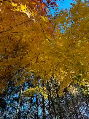 新倉富士浅間神社(山梨県)