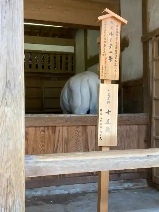 金刀比羅宮(香川県)