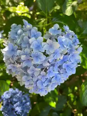 川越八幡宮(埼玉県)